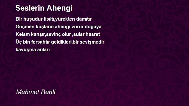 Mehmet Benli