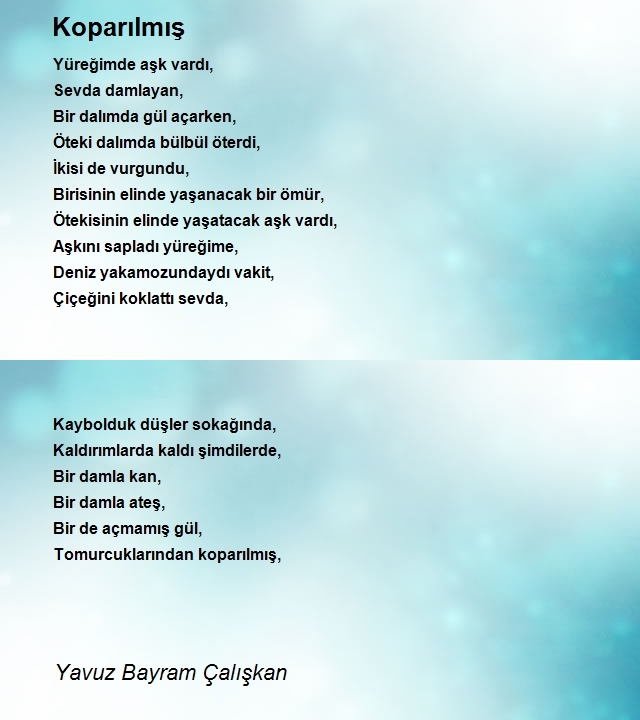 Yavuz Bayram Çalışkan