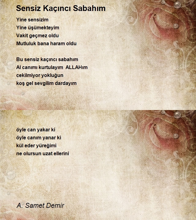 A. Samet Demir