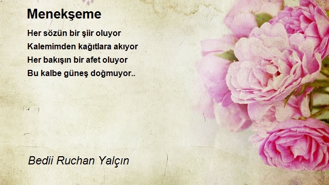 Bedii Ruchan Yalçın