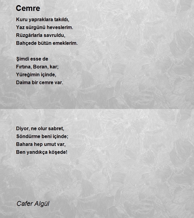 Cafer Algül