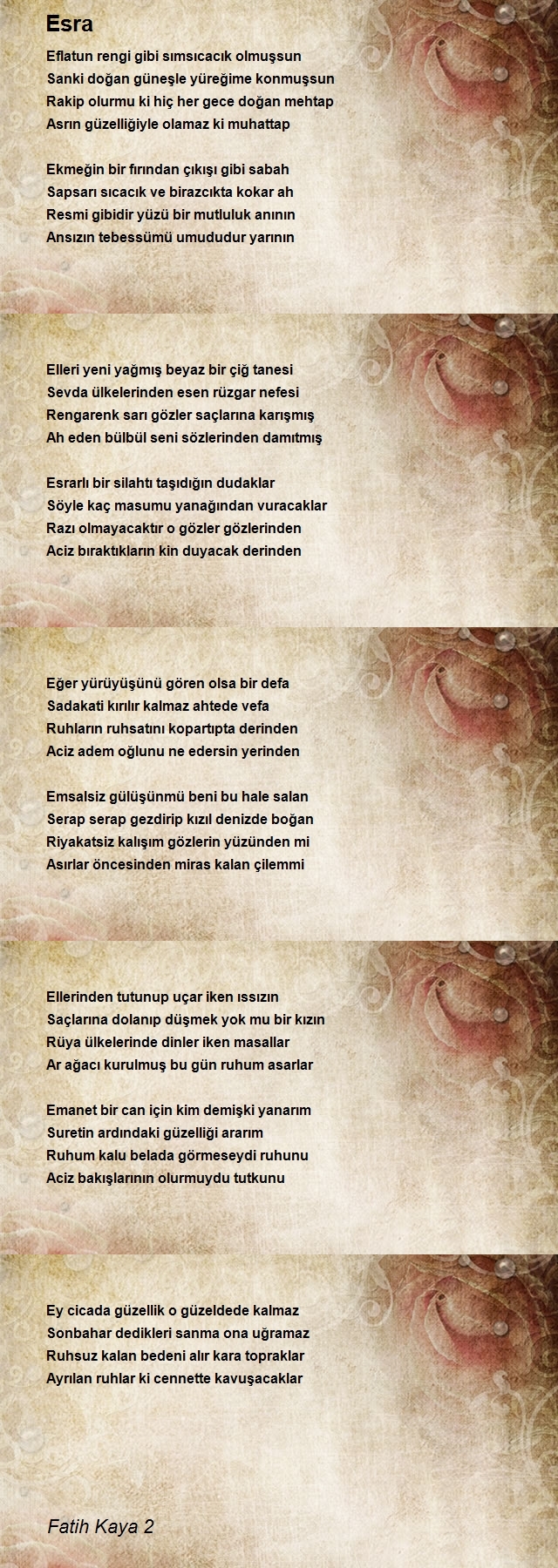 Fatih Kaya 2