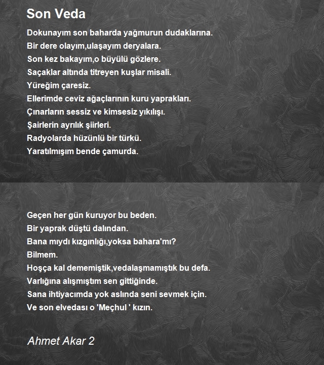 Ahmet Akar 2