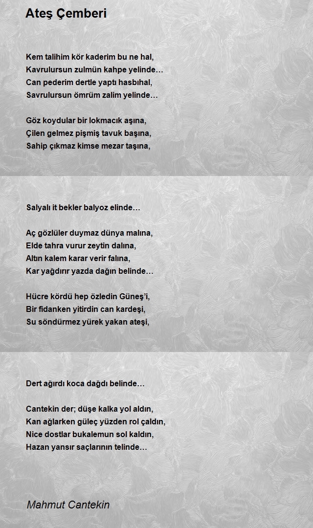 Mahmut Cantekin