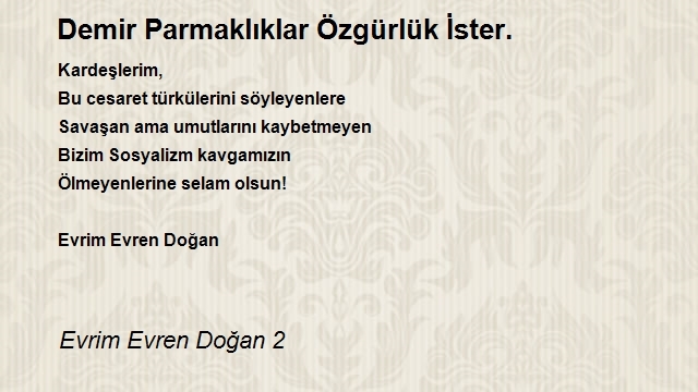 Evrim Evren Doğan 2