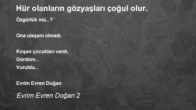 Evrim Evren Doğan 2