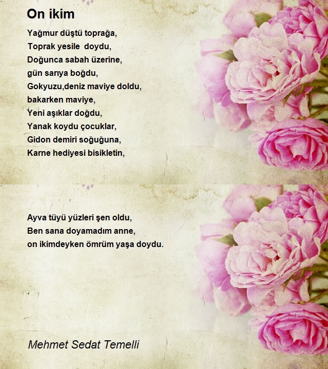 Mehmet Sedat Temelli