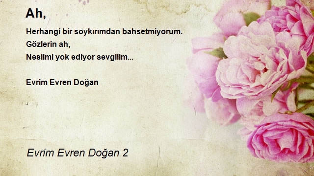 Evrim Evren Doğan 2