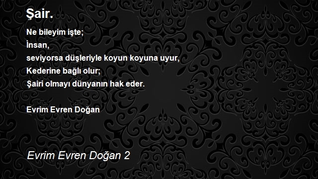 Evrim Evren Doğan 2