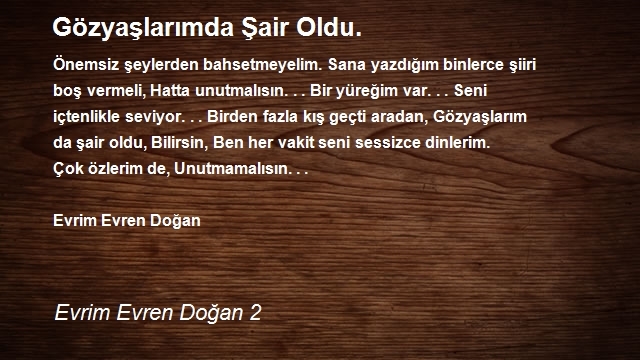 Evrim Evren Doğan 2