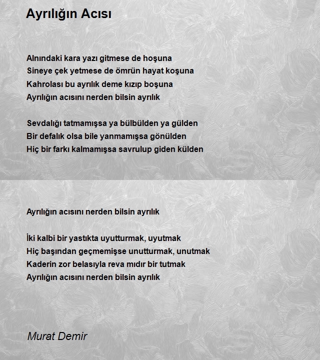 Murat Demir