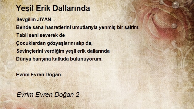 Evrim Evren Doğan 2