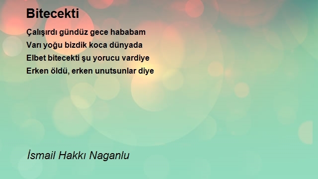 İsmail Hakkı Naganlu