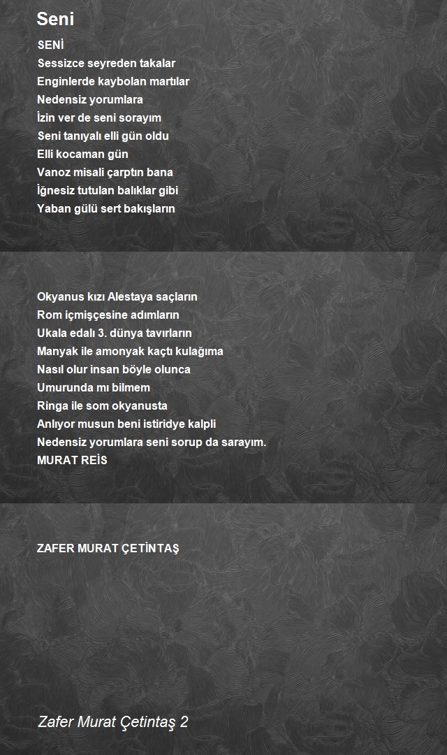 Zafer Murat Çetintaş 2