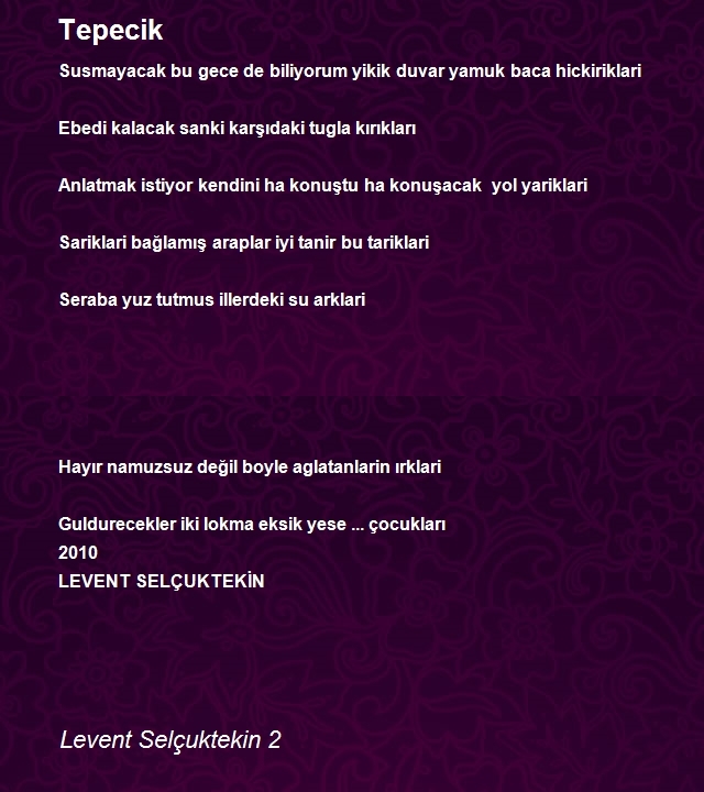 Levent Selçuktekin 2