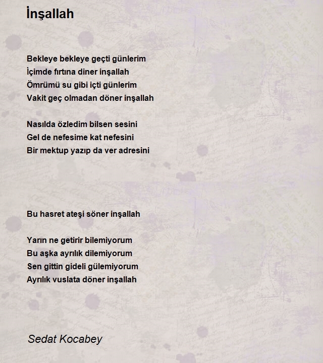 Sedat Kocabey