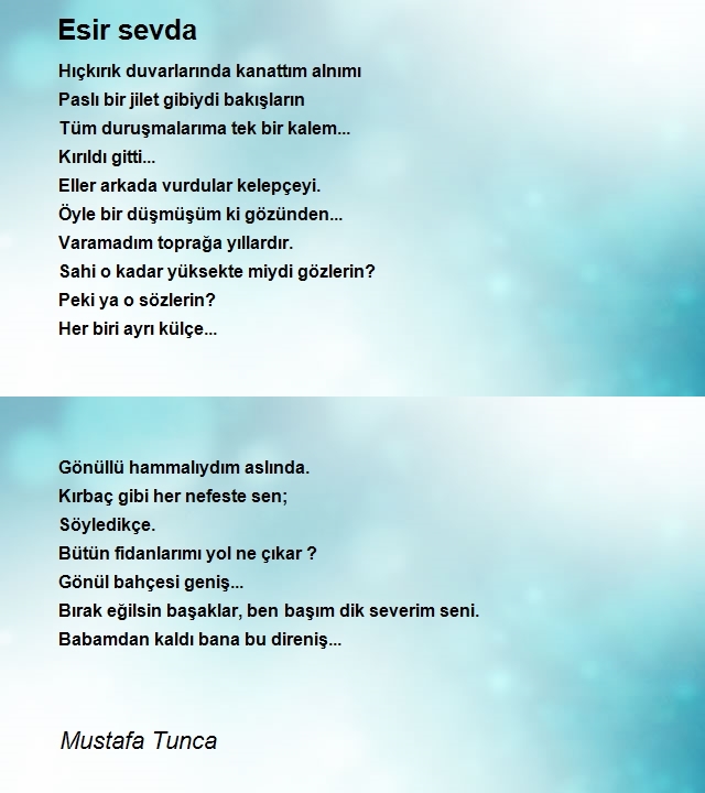 Mustafa Tunca