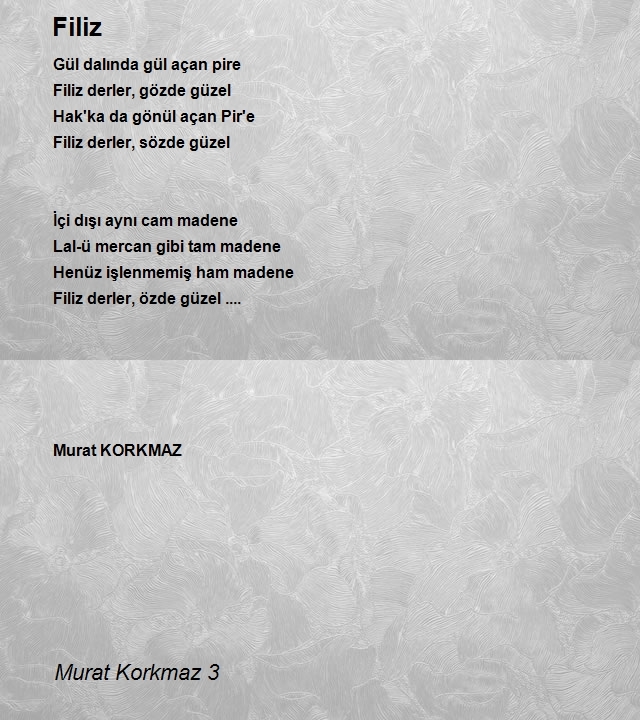 Murat Korkmaz 3