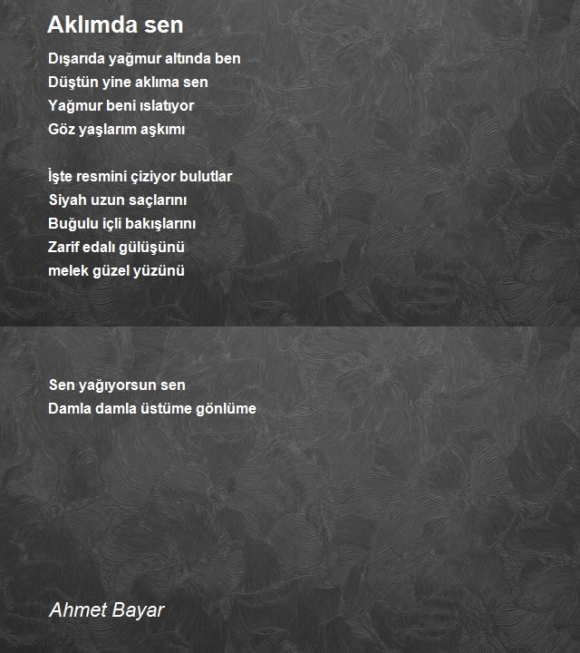 Ahmet Bayar