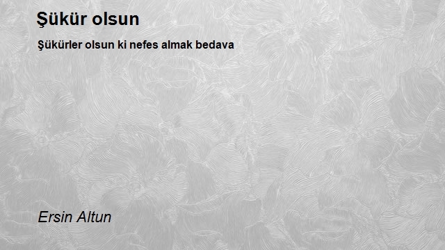 Ersin Altun