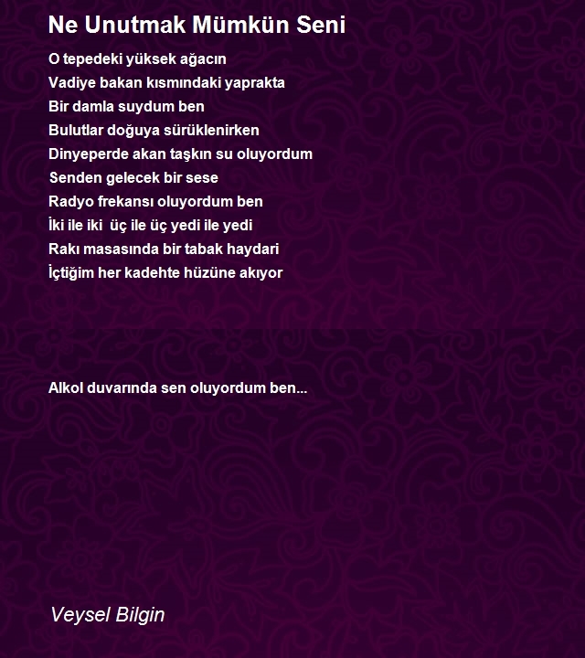 Veysel Bilgin