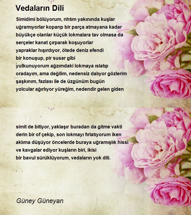 Güney Güneyan