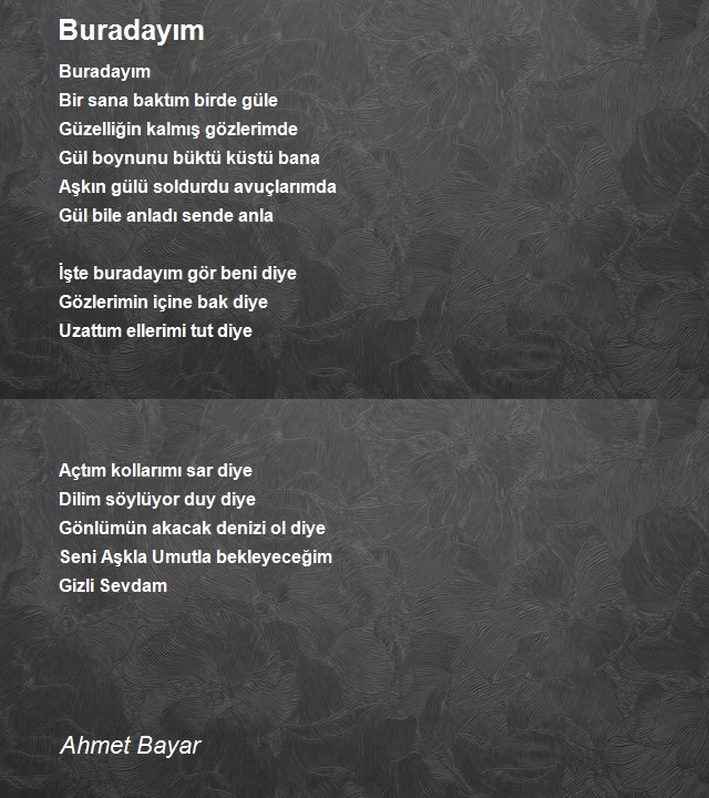 Ahmet Bayar