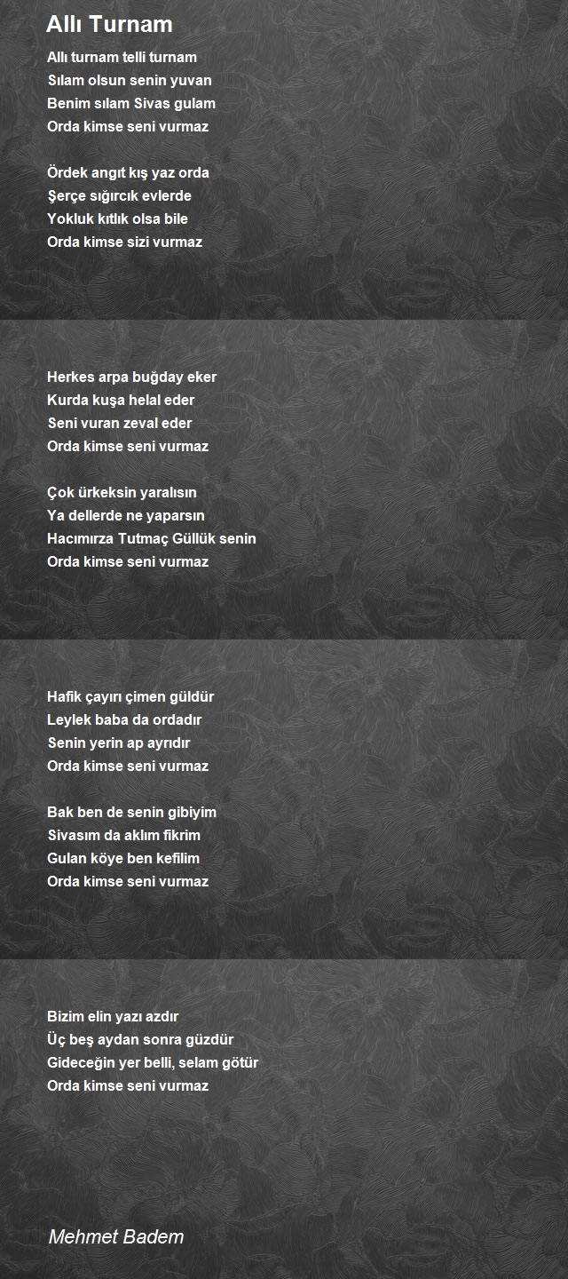 Mehmet Badem