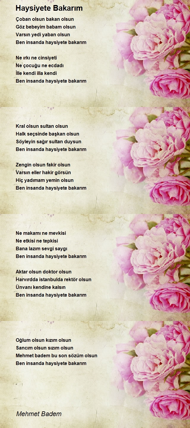 Mehmet Badem