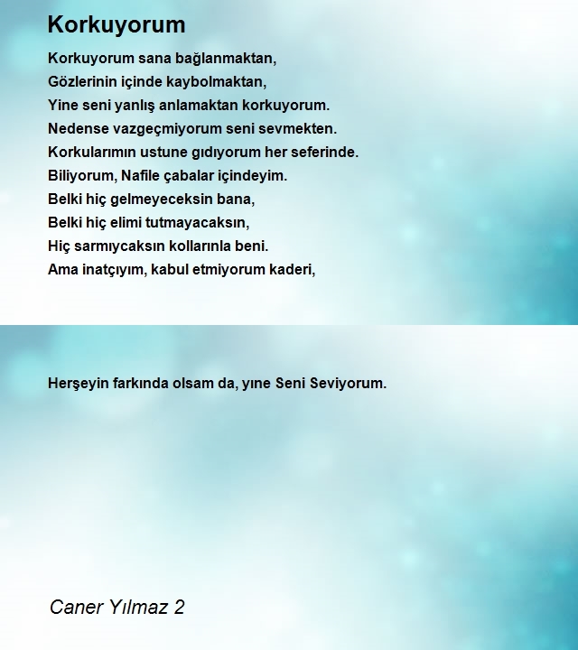 Caner Yılmaz 2