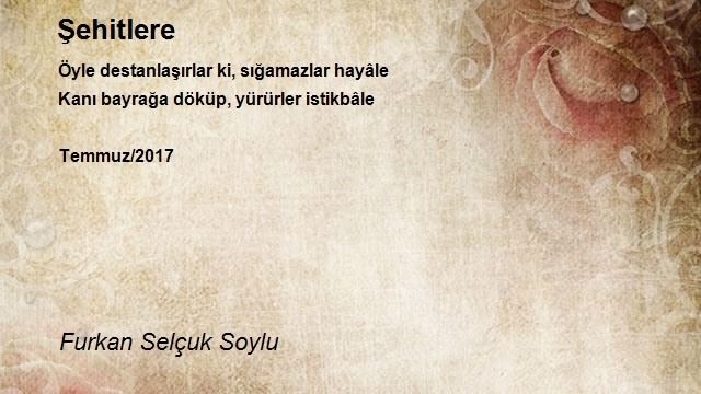 Furkan Selçuk Soylu