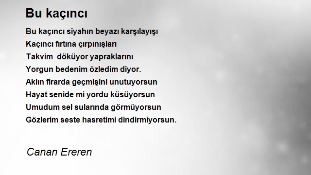 Canan Ereren