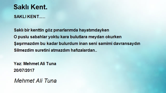 Mehmet Ali Tuna