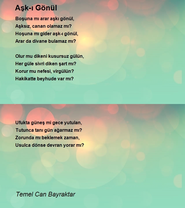 Temel Can Bayraktar