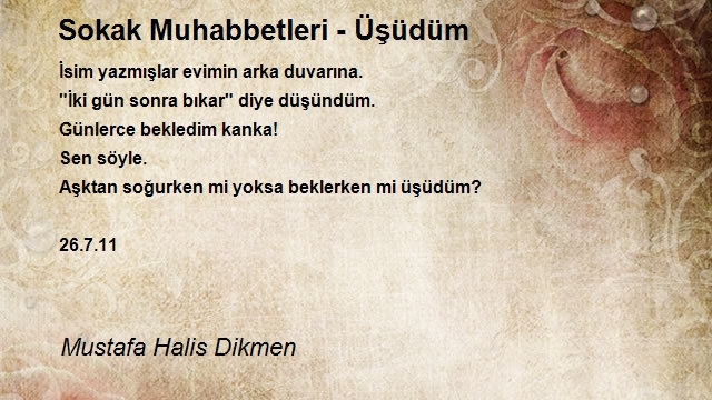 Mustafa Halis Dikmen