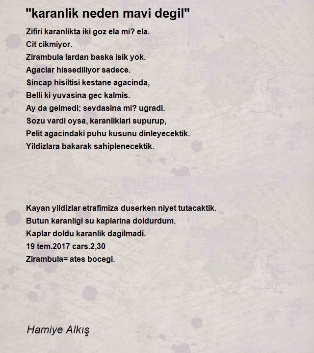 Hamiye Alkış