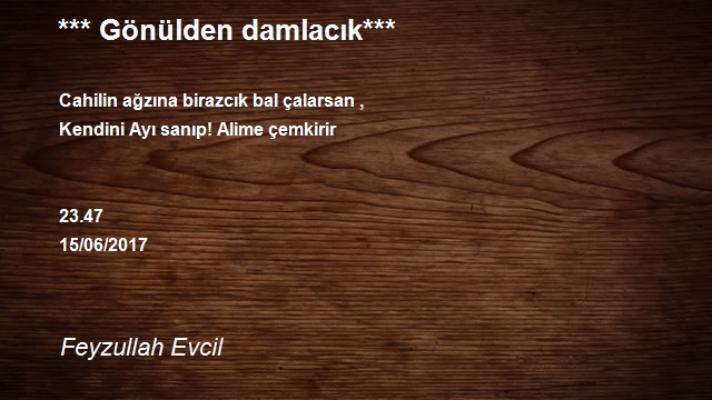 Feyzullah Evcil