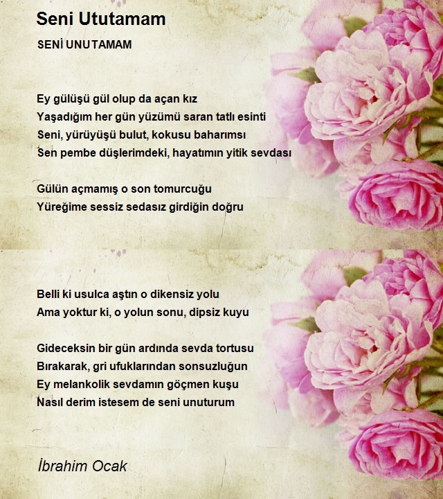 İbrahim Ocak