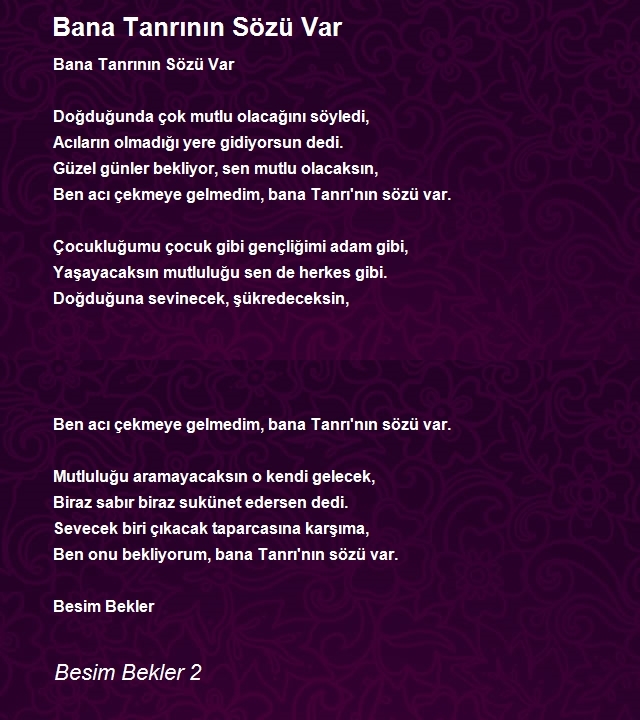 Besim Bekler 2