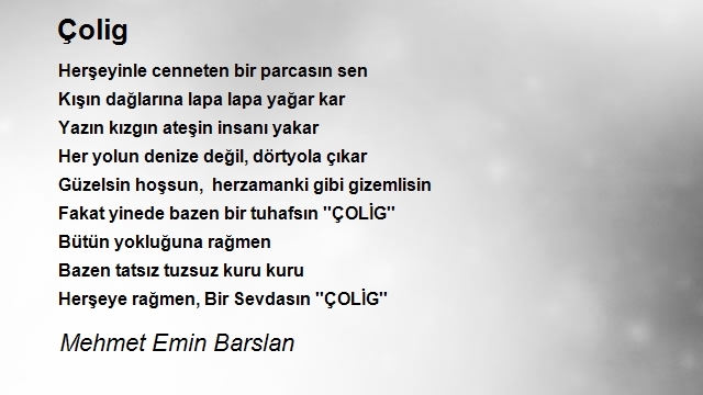 Mehmet Emin Barslan