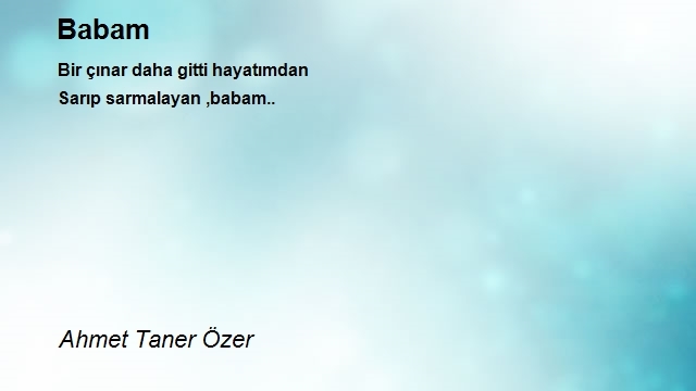 Ahmet Taner Özer