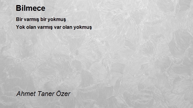 Ahmet Taner Özer