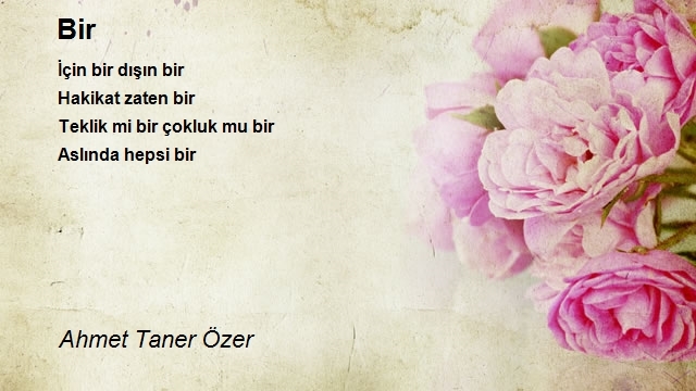 Ahmet Taner Özer