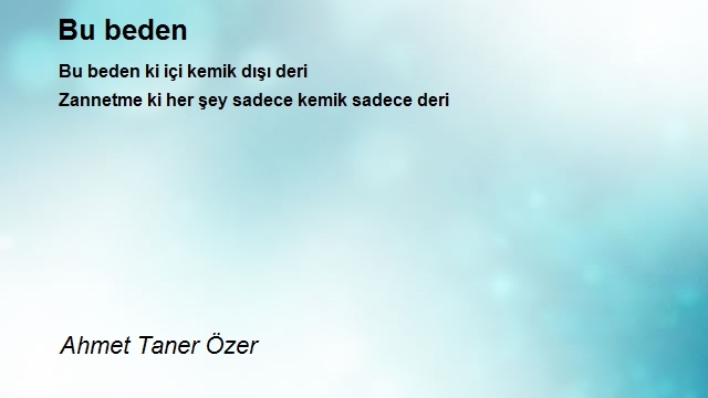 Ahmet Taner Özer