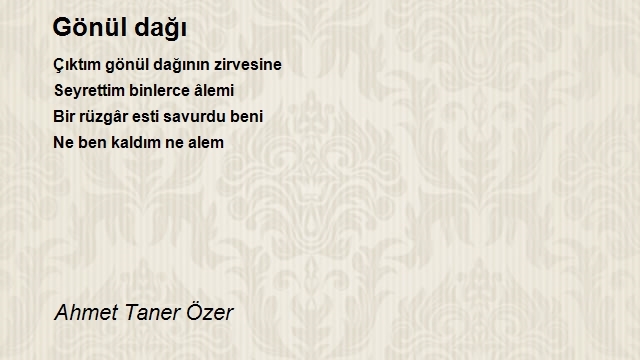 Ahmet Taner Özer