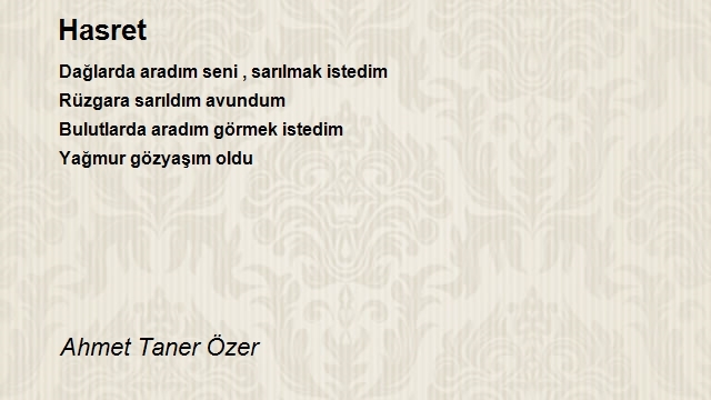 Ahmet Taner Özer