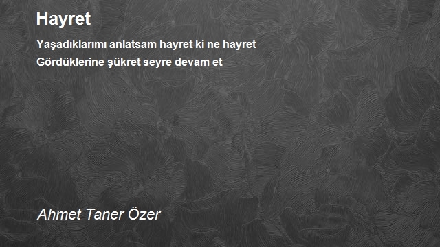 Ahmet Taner Özer