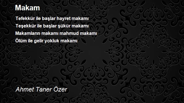 Ahmet Taner Özer