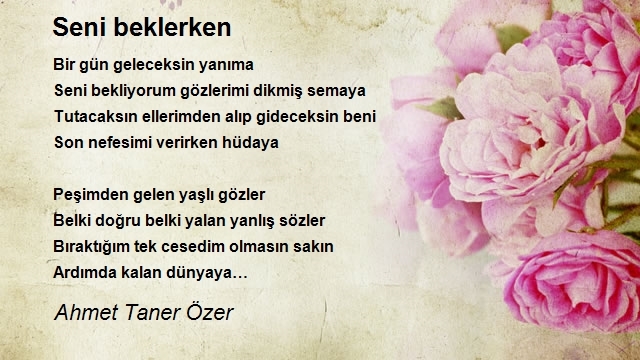 Ahmet Taner Özer