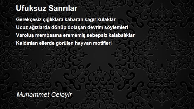 Muhammet Celayir